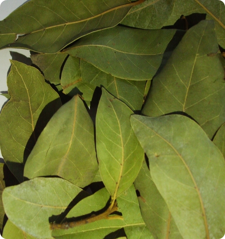 DRIED BAY LEAVES